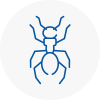 Ant Removals In Daventry