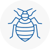 Bed Bug Extermination In Daventry