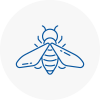 Bee Nest Removal Daventry
