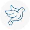 Bird Prevention Daventry