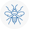 Daventry Hornet Nest Removals