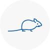 Mice Exterminators In Daventry